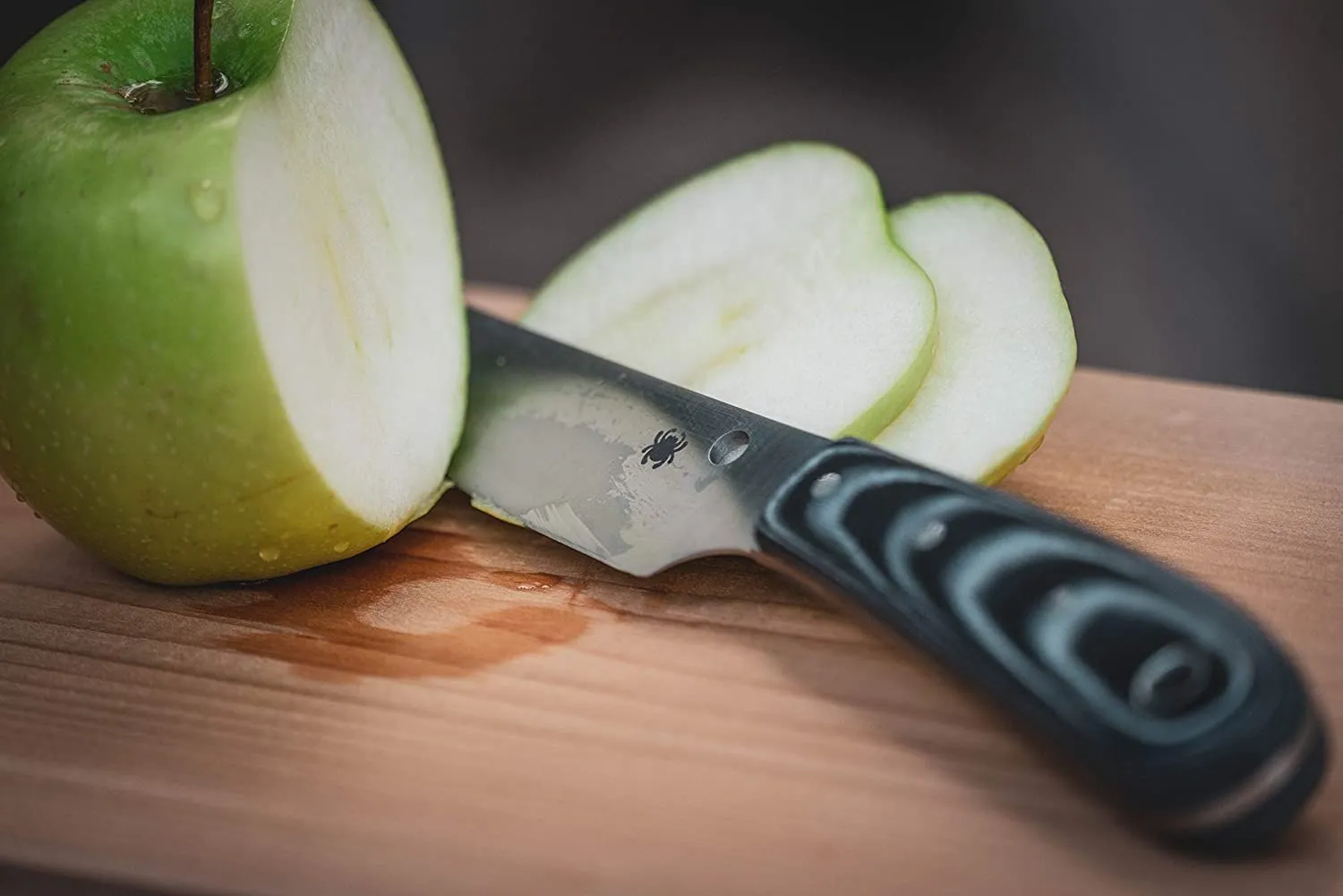 Spyderco FB46GP Bow River Fixed Blade Knife